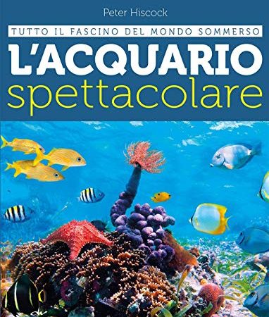 L'acquario spettacolare. Tutto il fascino del mondo sommerxo