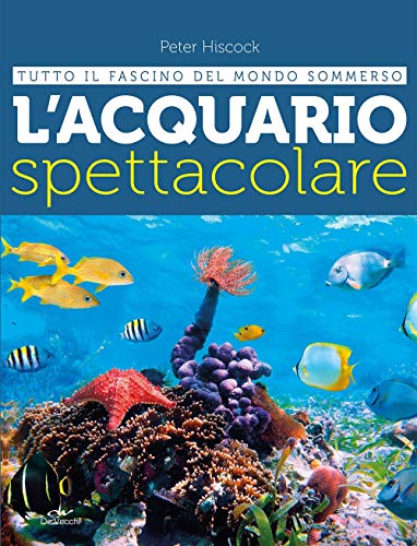 Miglior acquario nel 2022 [basato su 50 valutazioni di esperti]