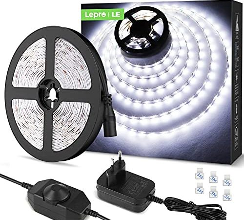 Lepro Striscia LED 5M 300LED SMD2835 Dimmerabile, 15W 1200lm Luce Nastro Luminoso Bianco Freddo 6000K per Decorazioni Interne, Kit Completo 2 Connettori, Alimentatore e Interruttore Dimmer