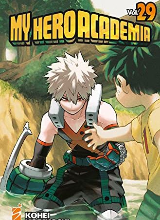 My hero academia (Vol. 29)