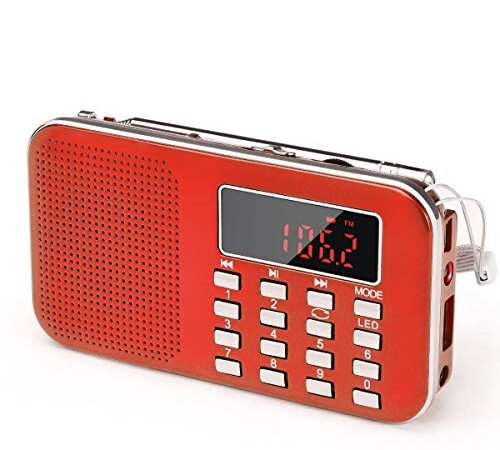 Radio Portatili Ricaricabile FM/AM(MW) Aggiornamento PRUNUS L-218,Radiolina Portatile Digitale,Lettore Musicale MP3,Supporto USB/AUX/TF Card, Aggiunta Torcia di Emergenza.