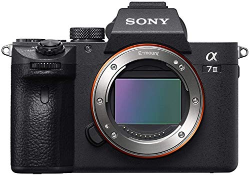 Miglior sony a7 iii nel 2022 [basato su 50 valutazioni di esperti]