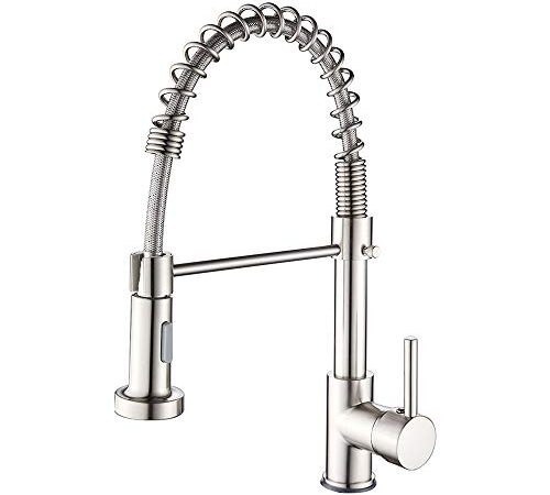 Rubinetto Cucina con Doccetta Estraibile Rubinetto Cucina Molla Miscelatore Monocomando per Lavello con Doccetta Supporto Acqua Fredda e Calda (Normale, Argento Satinato)