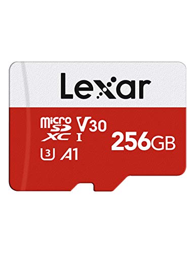 Miglior micro sd 256 gb nel 2024 [basato su 50 valutazioni di esperti]