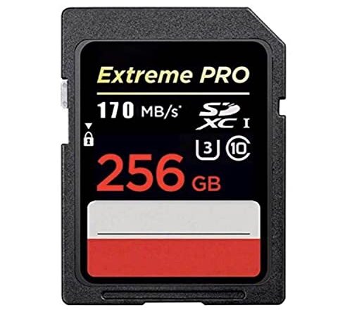 Schede SD Scheda di memoria Extreme Pro SDXC UHS-I da 256 GB - C10, U3, V30, 4K UHD, scheda SD - SDSDSDXXD-256G-GN4IN