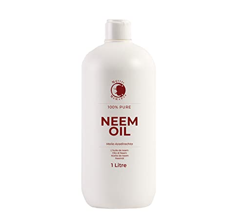 Miglior olio di neem nel 2024 [basato su 50 valutazioni di esperti]