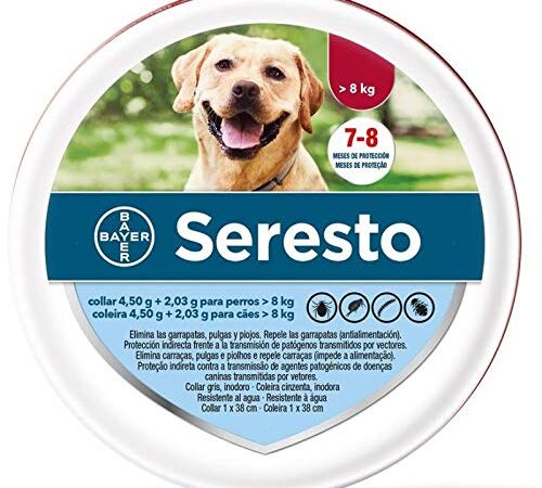 Bayer SERESTO - Collare Cane Oltre 8 kg - Offerta 6 collari