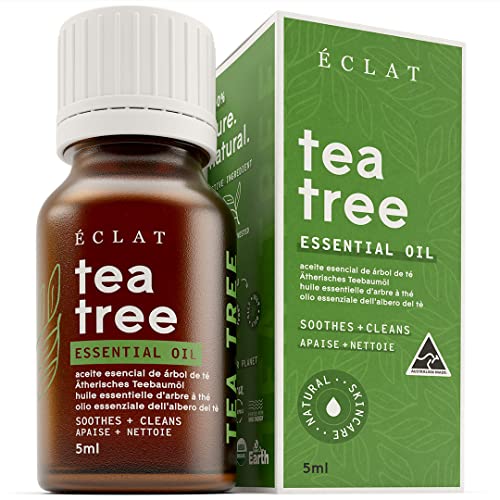 30 Miglior tea tree oil nel 2024 [basato su 50 valutazioni di esperti]