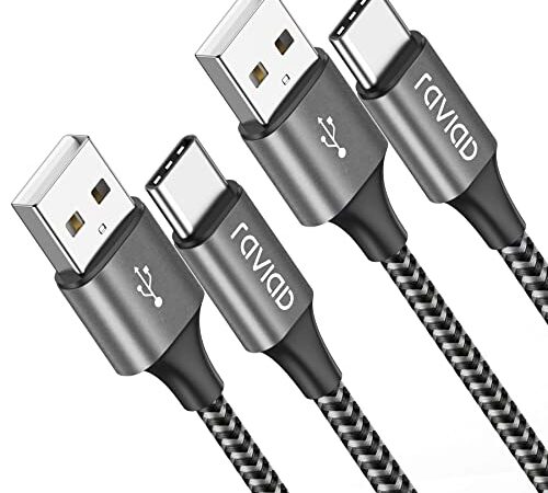 RAVIAD Cavo USB Tipo C [2Pezzi, 3m] Nylon Ricarica Rapida e Trasferimento Dati per Samsung Galaxy S21/S10/ S9/A30/A40/A50/A70/A20e, Huawei P30/P20/P10, OnePlus 6T/9, Realme- Grigio