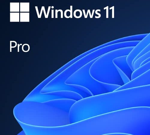 Windows 11 │ Pro Edition │ Codice d'attivazione per PC via email